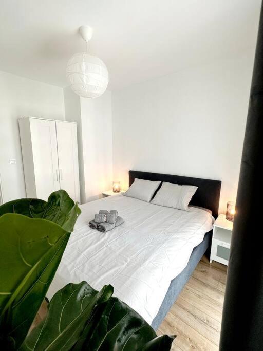 Apartment Dzielnica Parkowa #7 Rzeszow